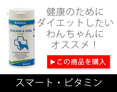 ドッグサプリメント_スマートビタミン