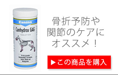 ドッグサプリメント_毎日健骨・グルコサミン