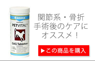 ドッグサプリメント_毎日健骨・ミドリイガイ